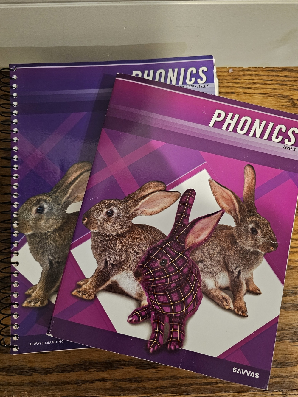 Plaid Phonics Level K Teacher Resource Book and Workbook Bundle, 2012 Edition